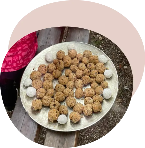 Tabuleiro com bolinhas energéticas artesanais e coco ralado.